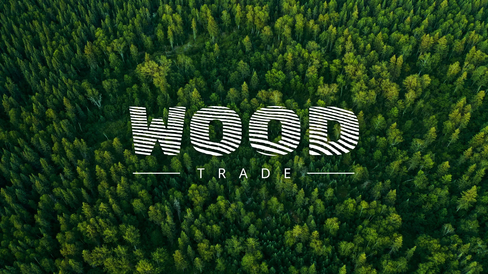 Разработка интернет-магазина компании «Wood Trade» в Сортавале